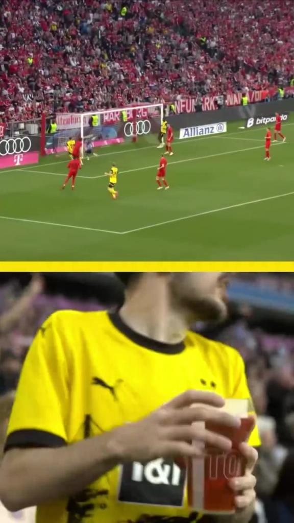 勇者無(wú)懼！這是真多特球迷！在拜仁球迷區(qū)一個(gè)人肆意慶祝！